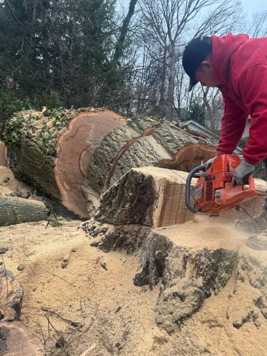 Home Section Two Image