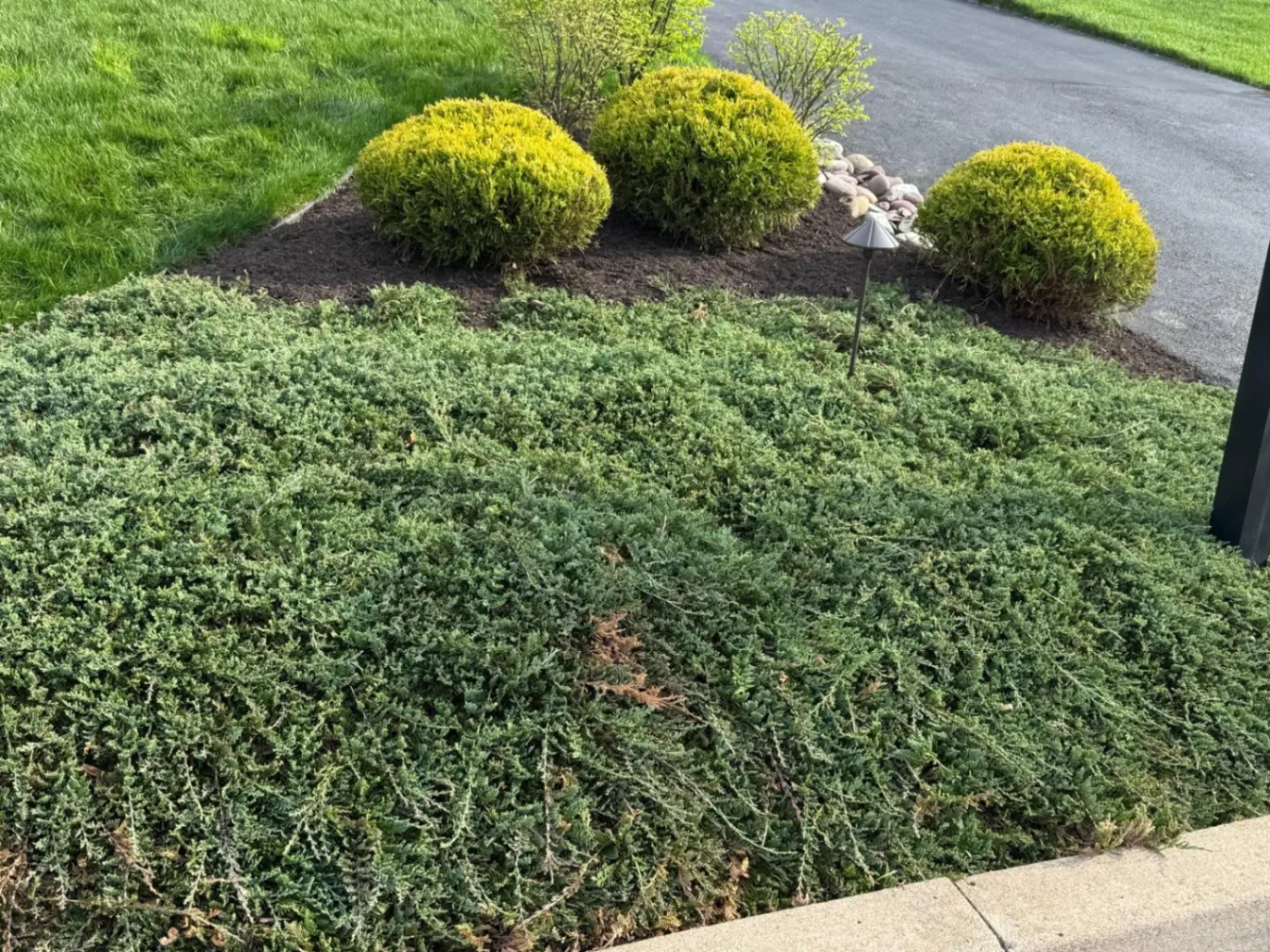 Ramos Landscaping & Tree Services LLC