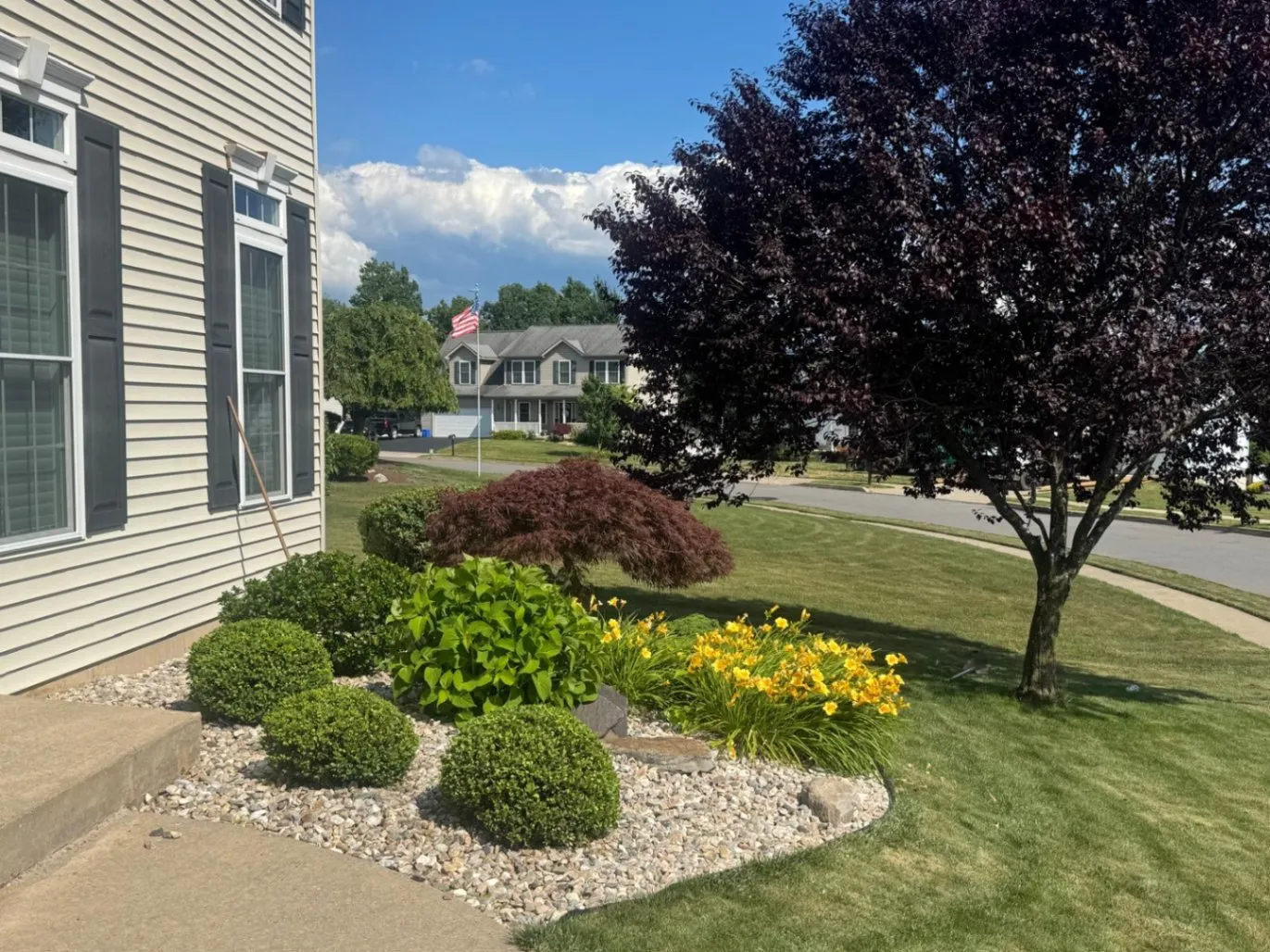 Gallery image 48