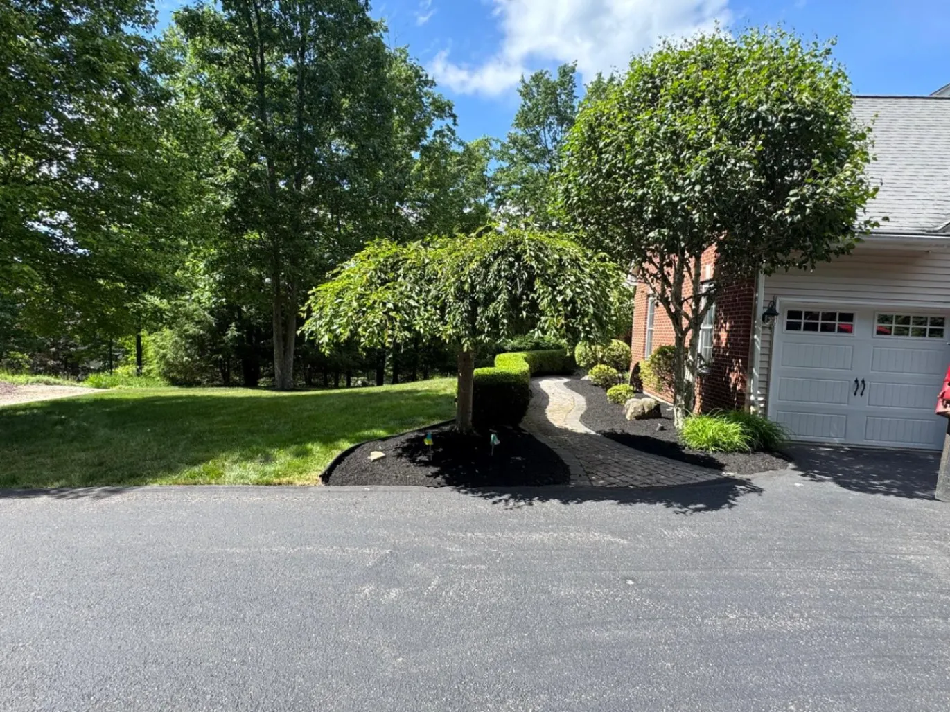 Gallery image 53