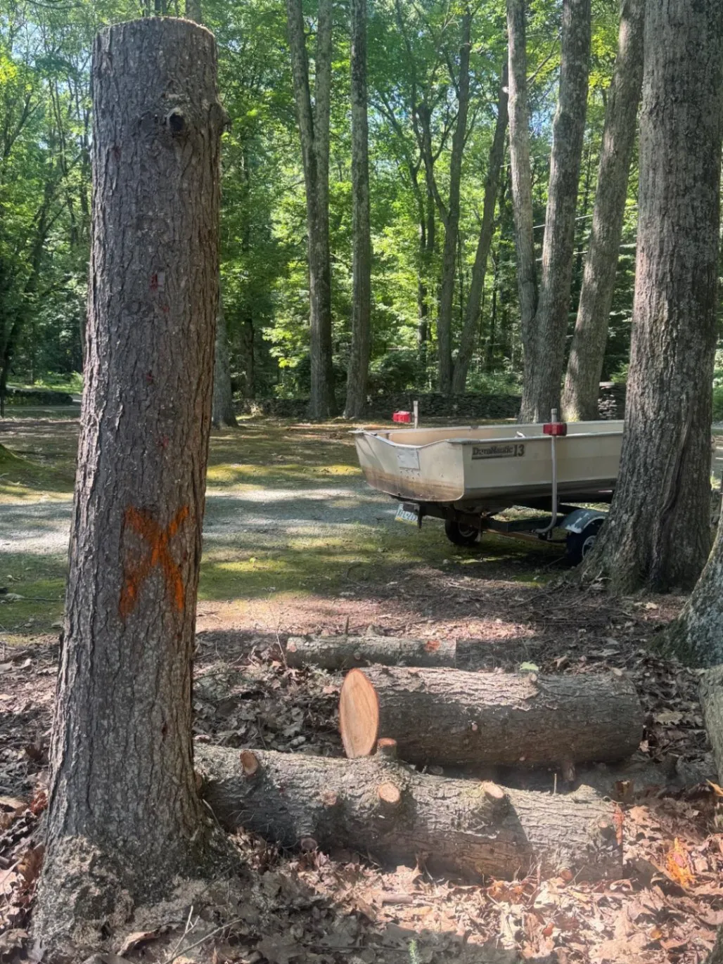 Gallery image 61