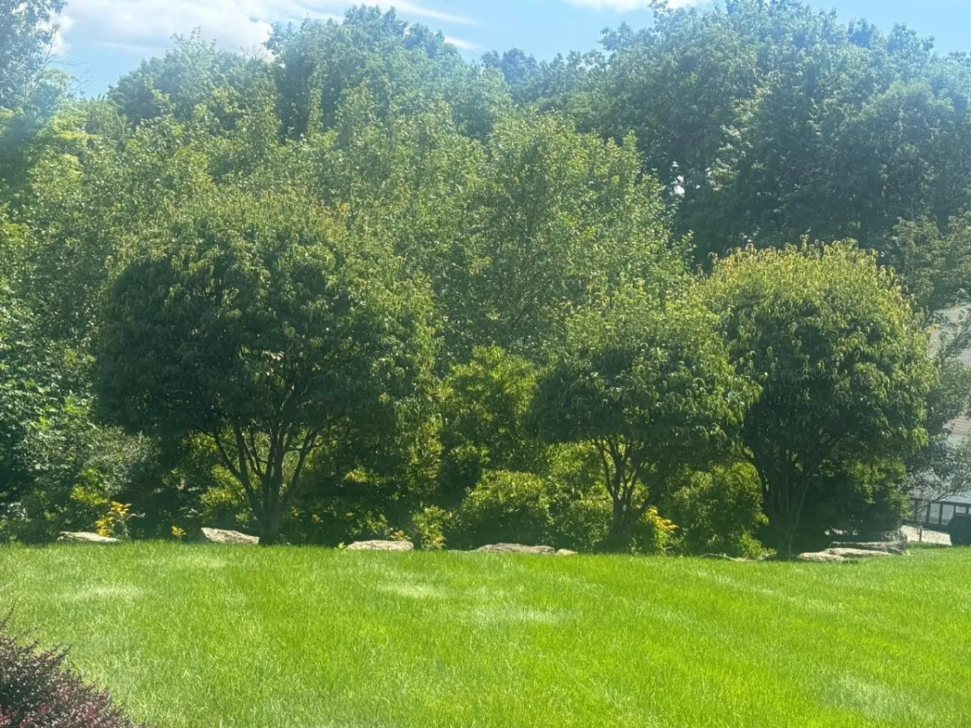 Gallery image 67