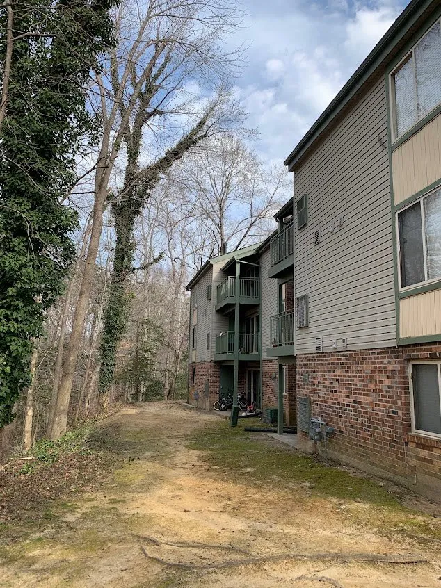 Gallery image 17