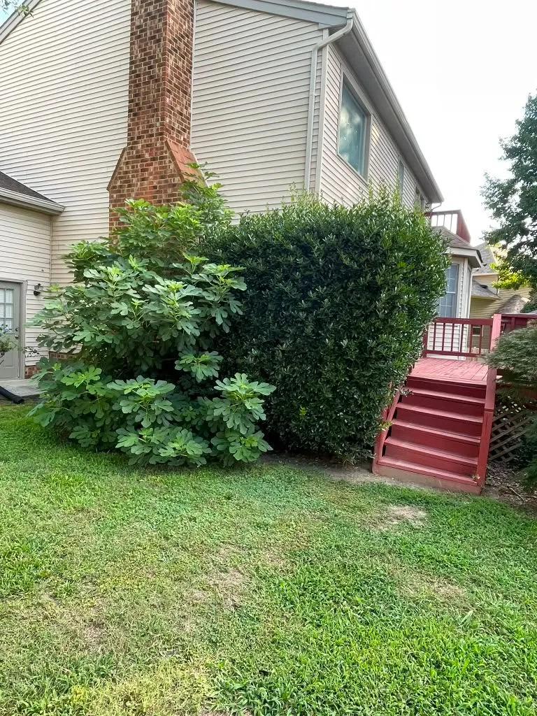 Gallery image 20
