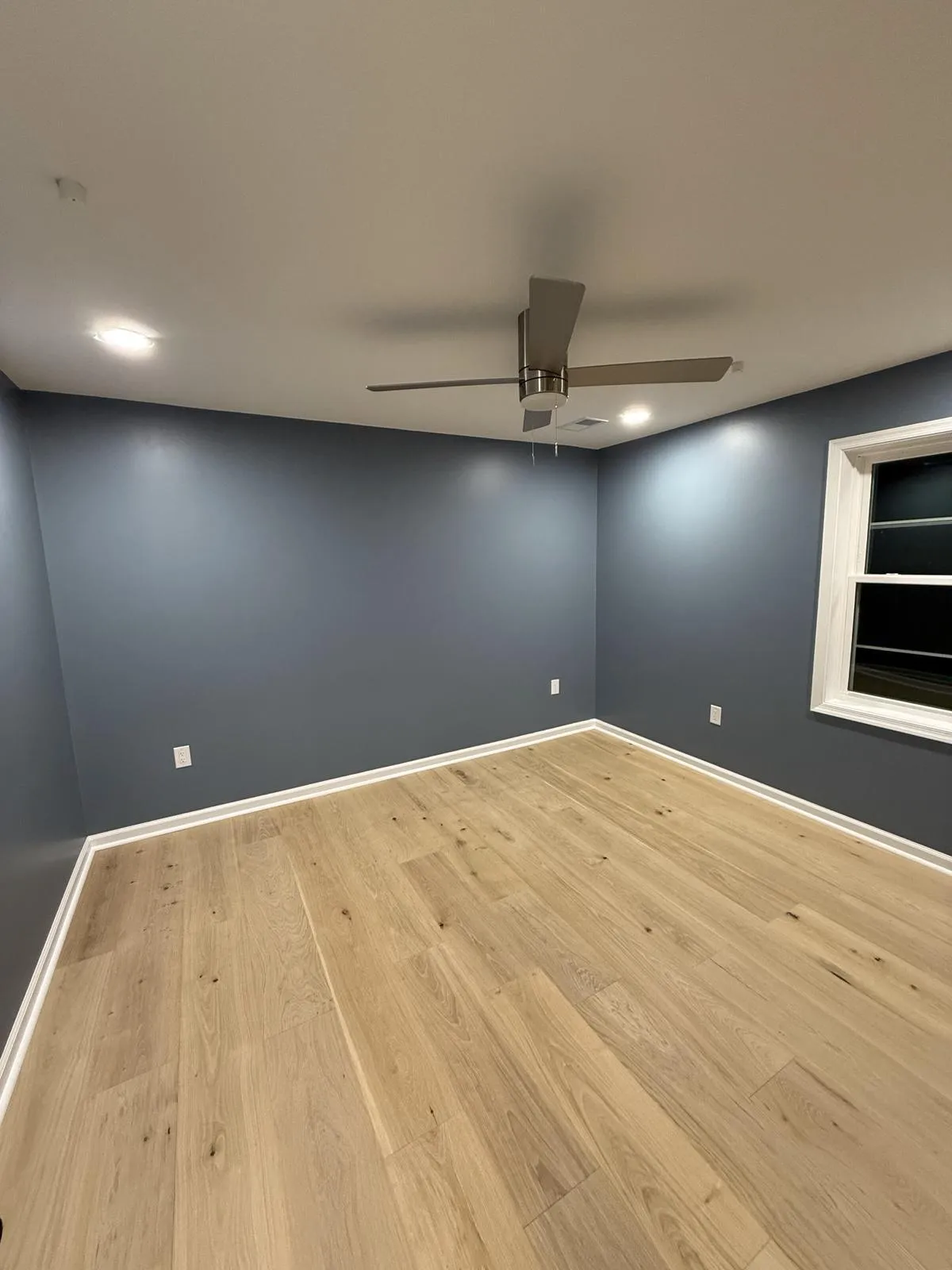 Gallery image 13