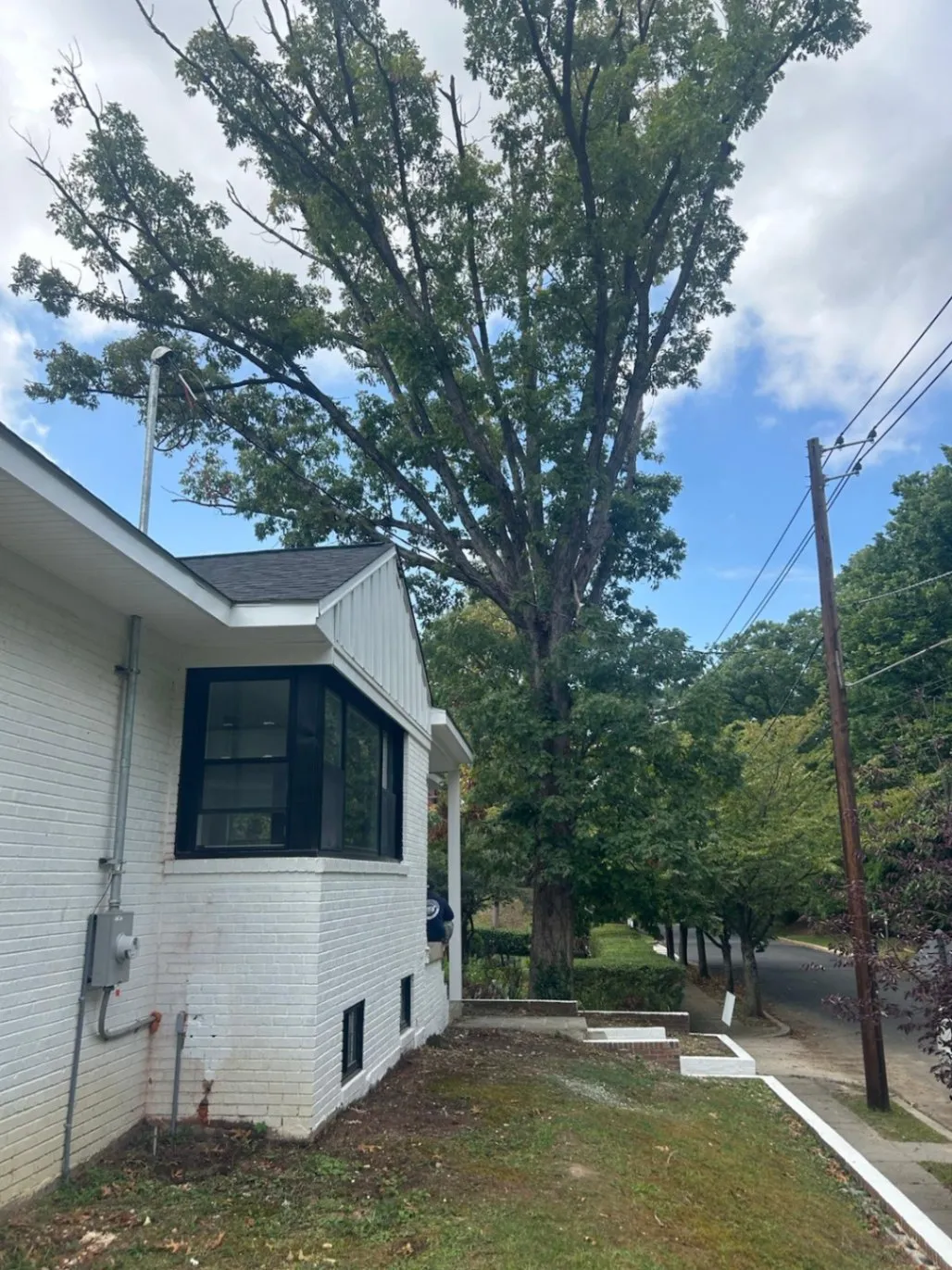 Gallery image 45
