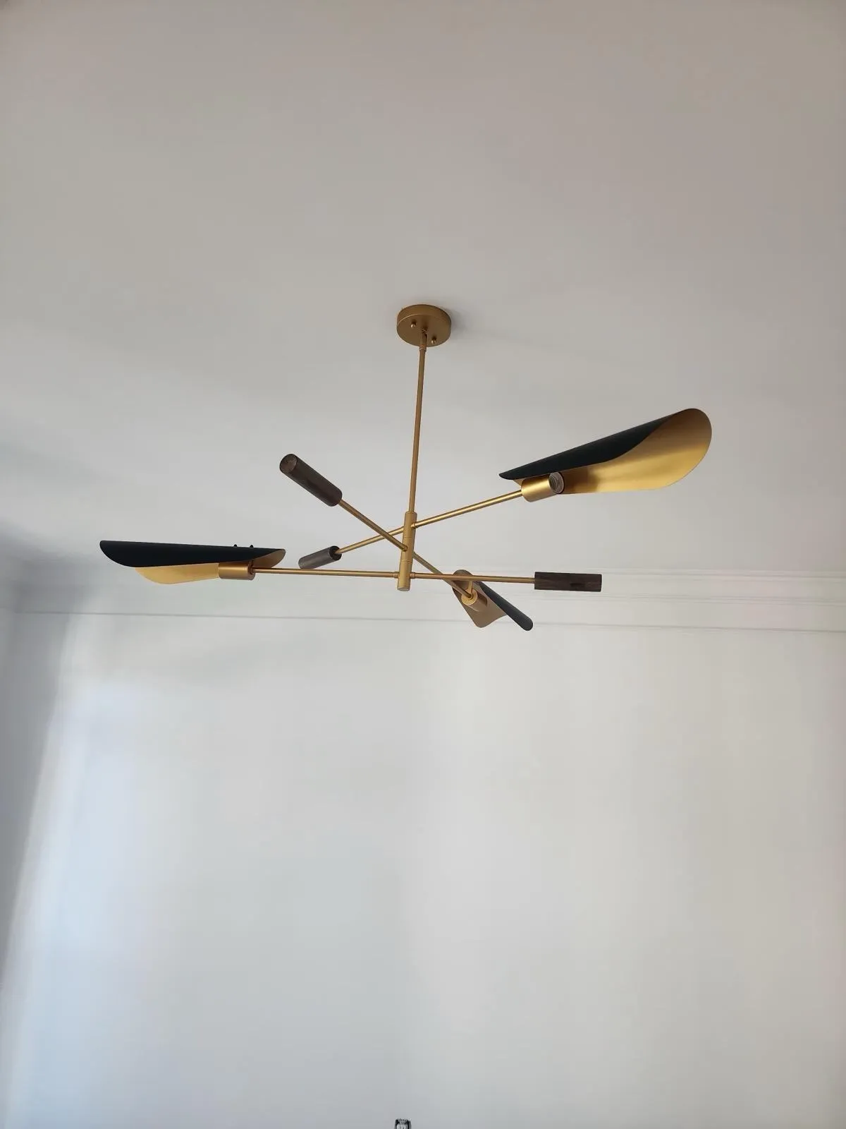 Gallery image 51