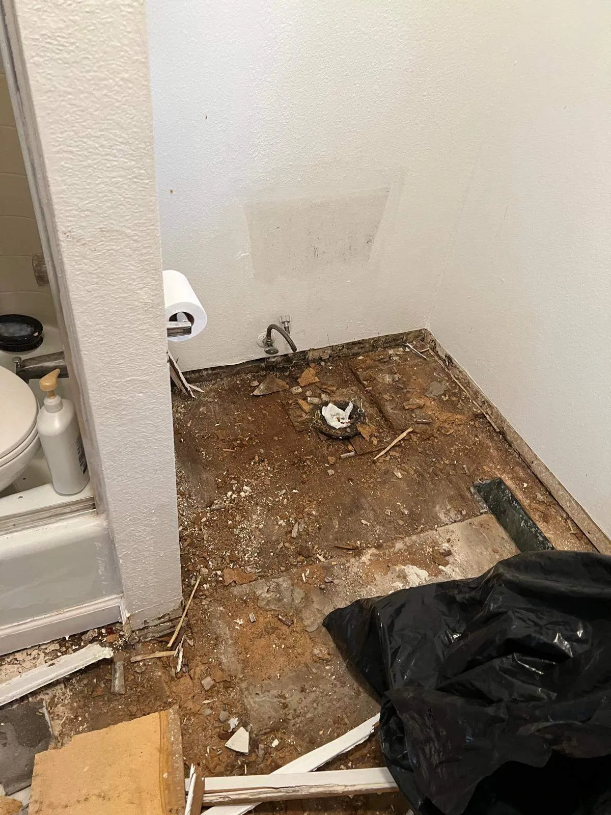 Gallery image 61