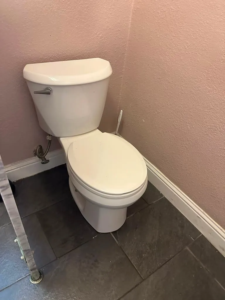 Gallery image 48