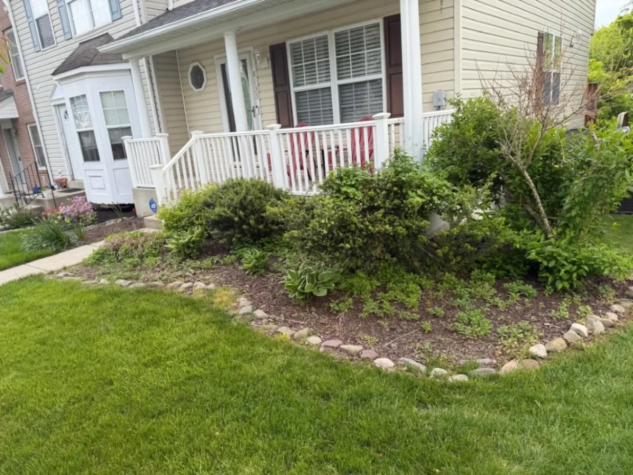 Gallery image 58