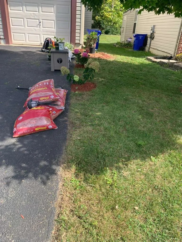 Gallery image 38