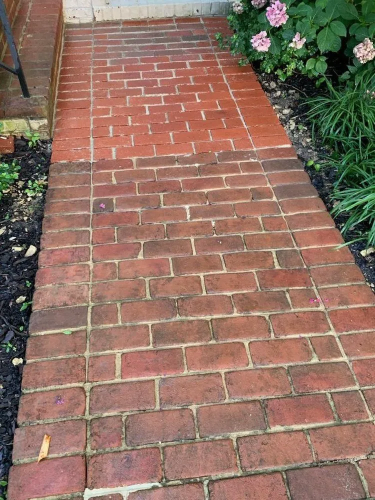 Gallery image 8