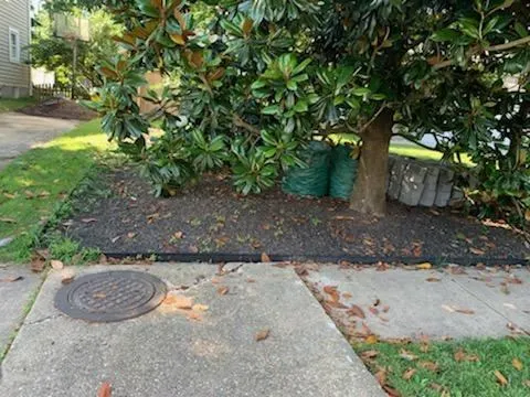 Gallery image 17