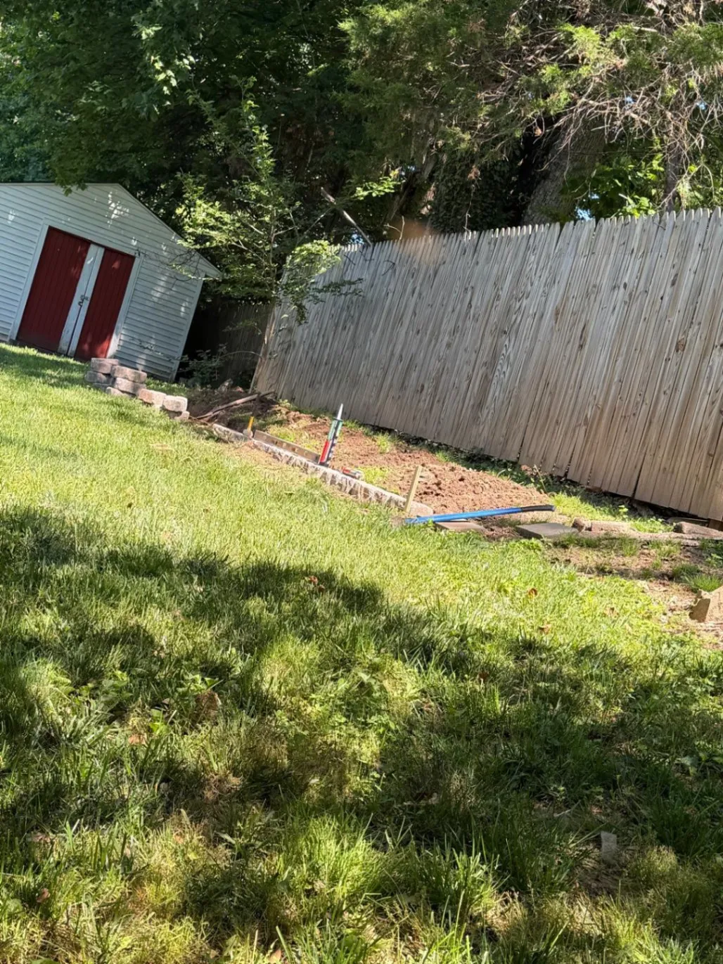 Gallery image 65