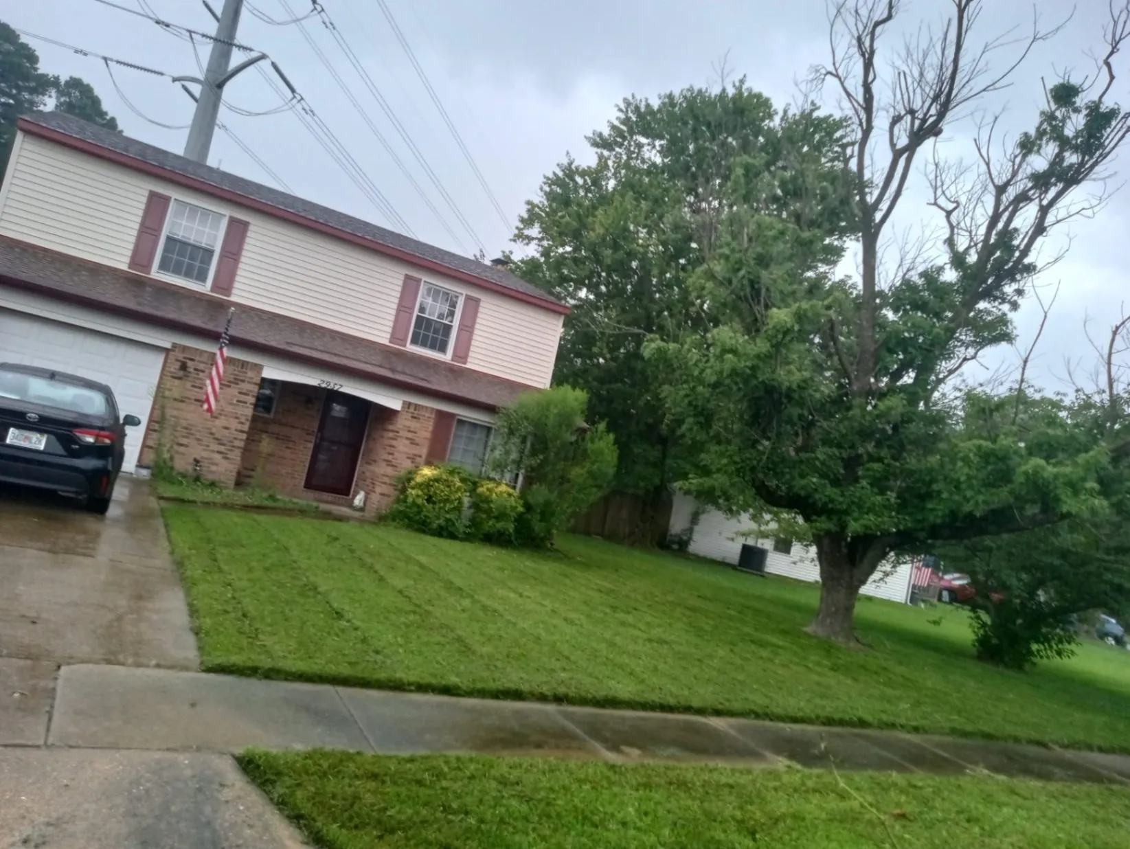 Gallery image 28