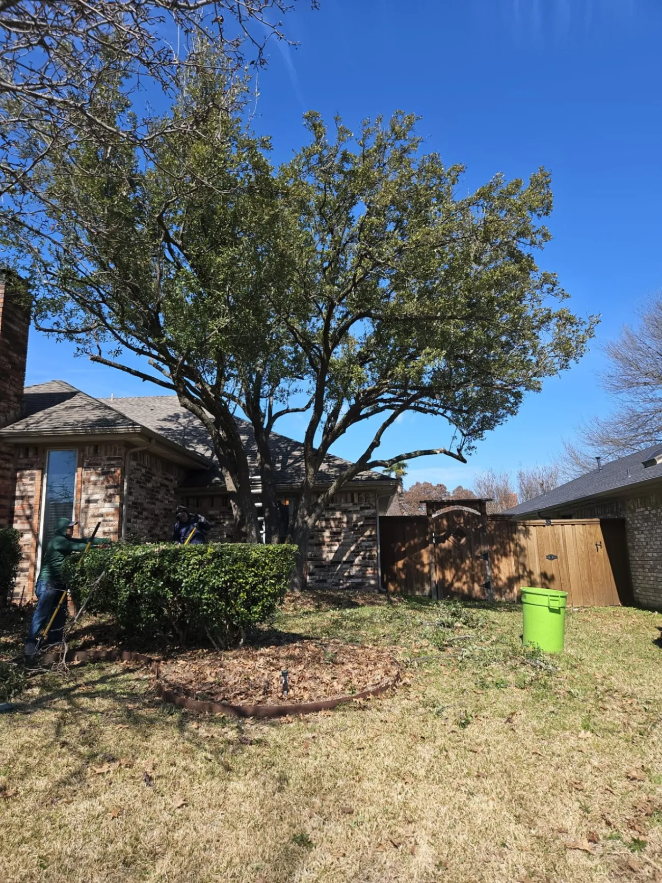 Emergency Tree Service