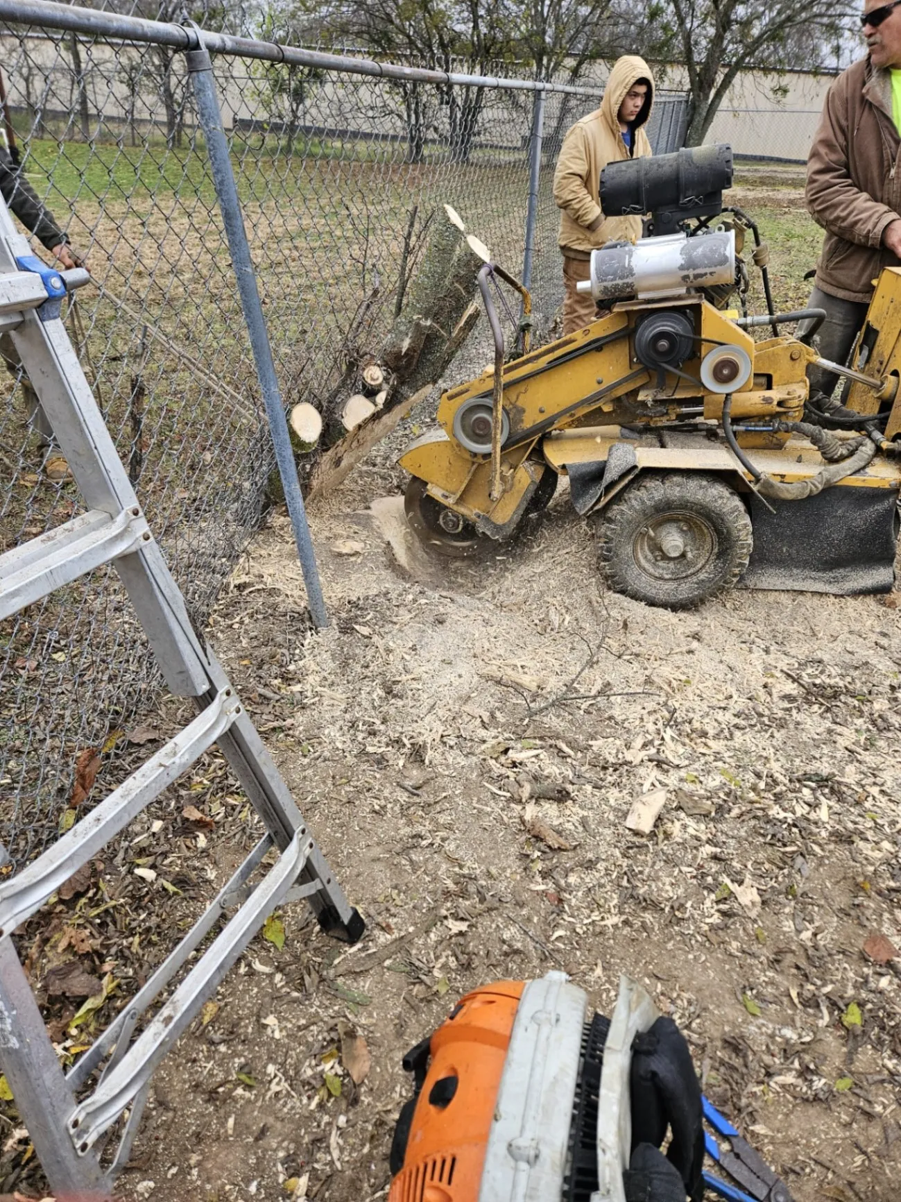 Precise Tree Cutting