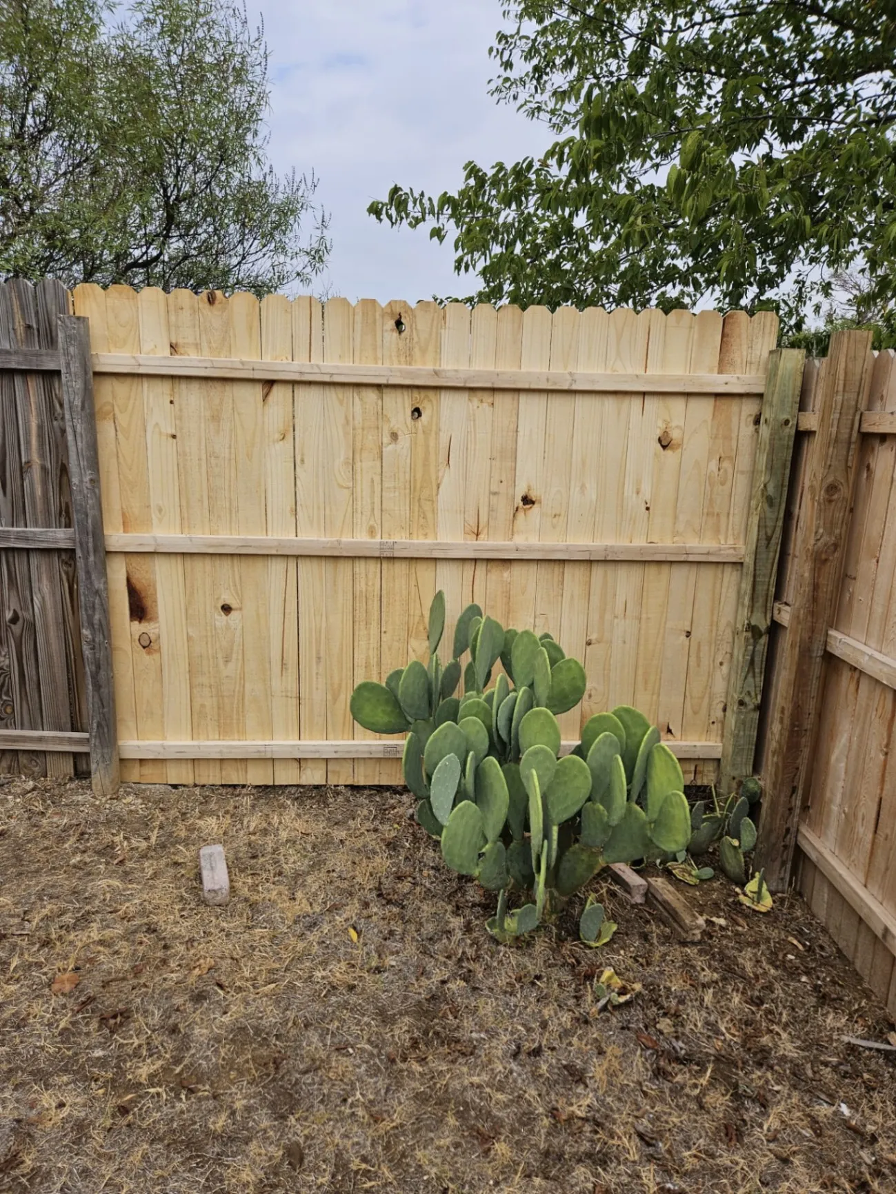 Gallery image 6