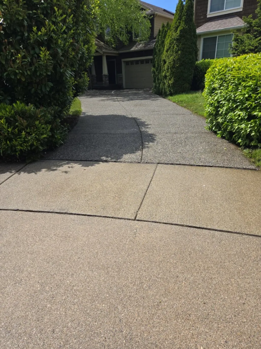 Gallery image 7