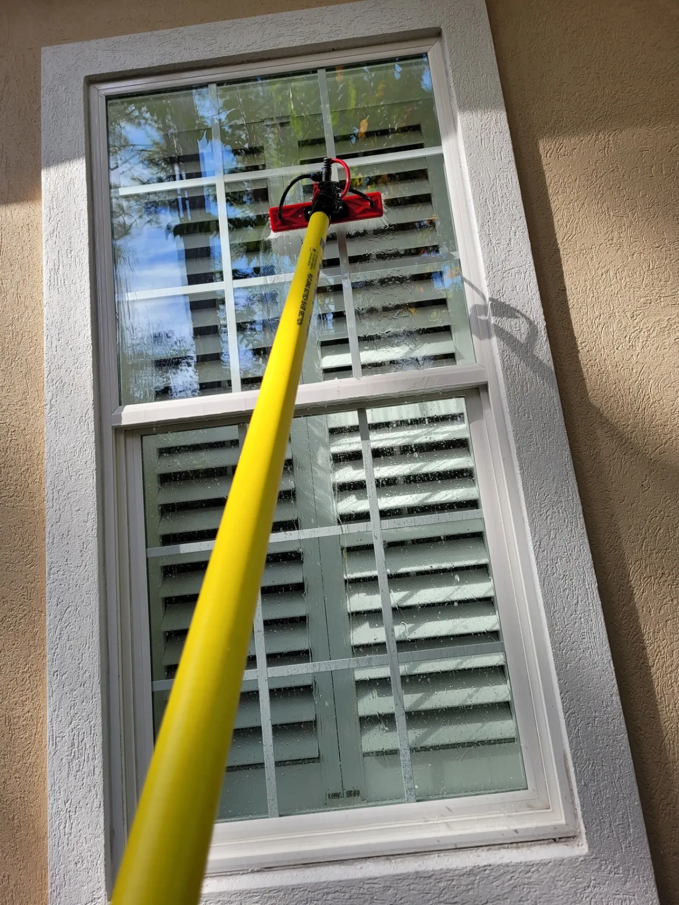 Windows Cleaning
