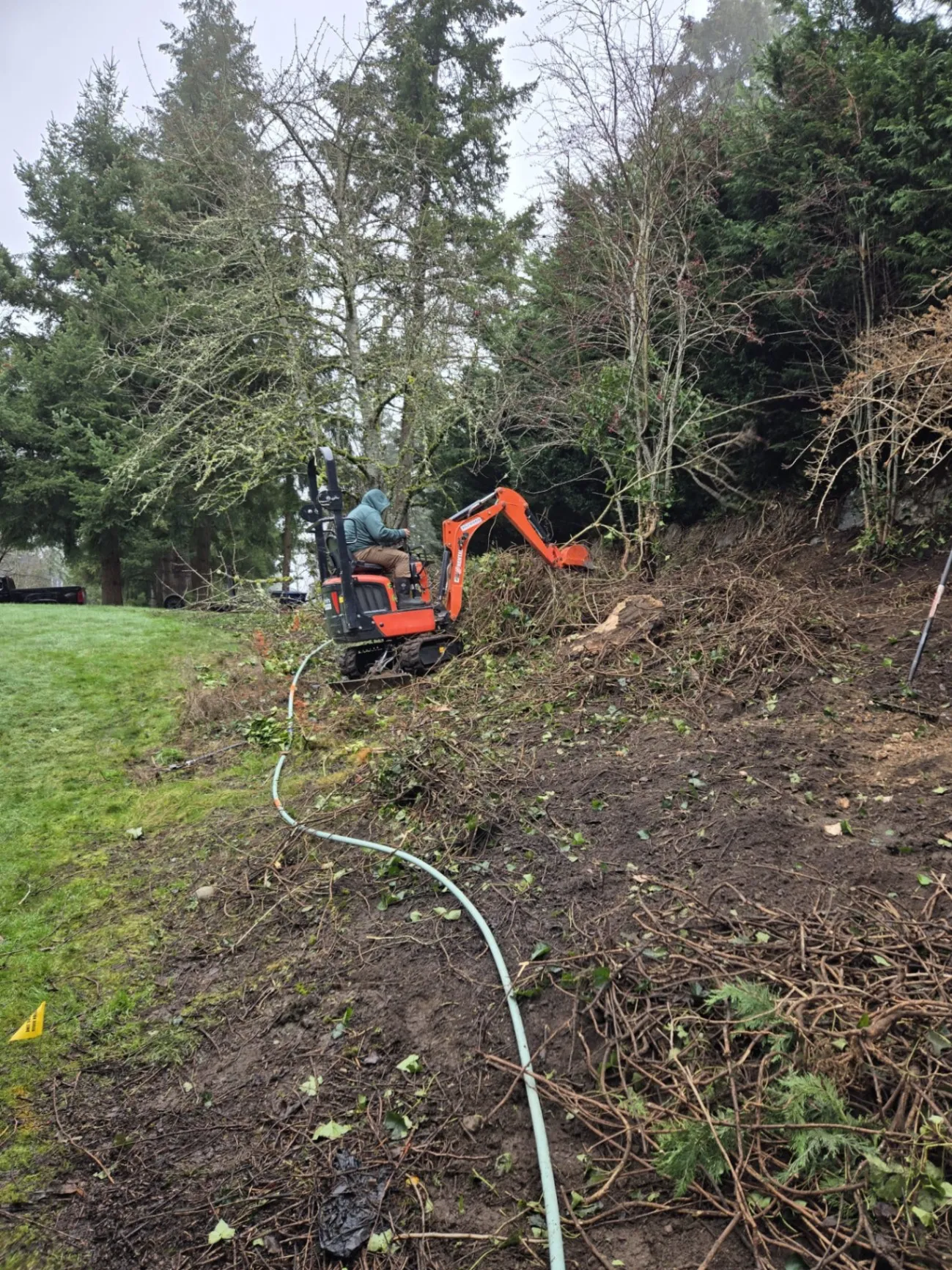 Patio Cleaning & Weed Removal