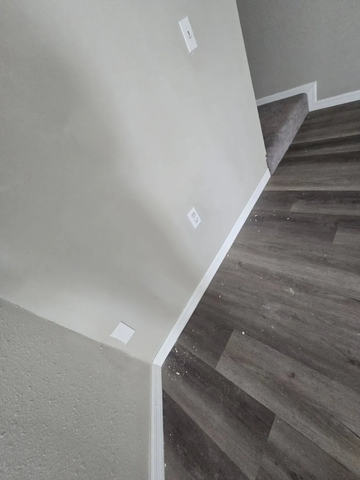 Gallery image 0