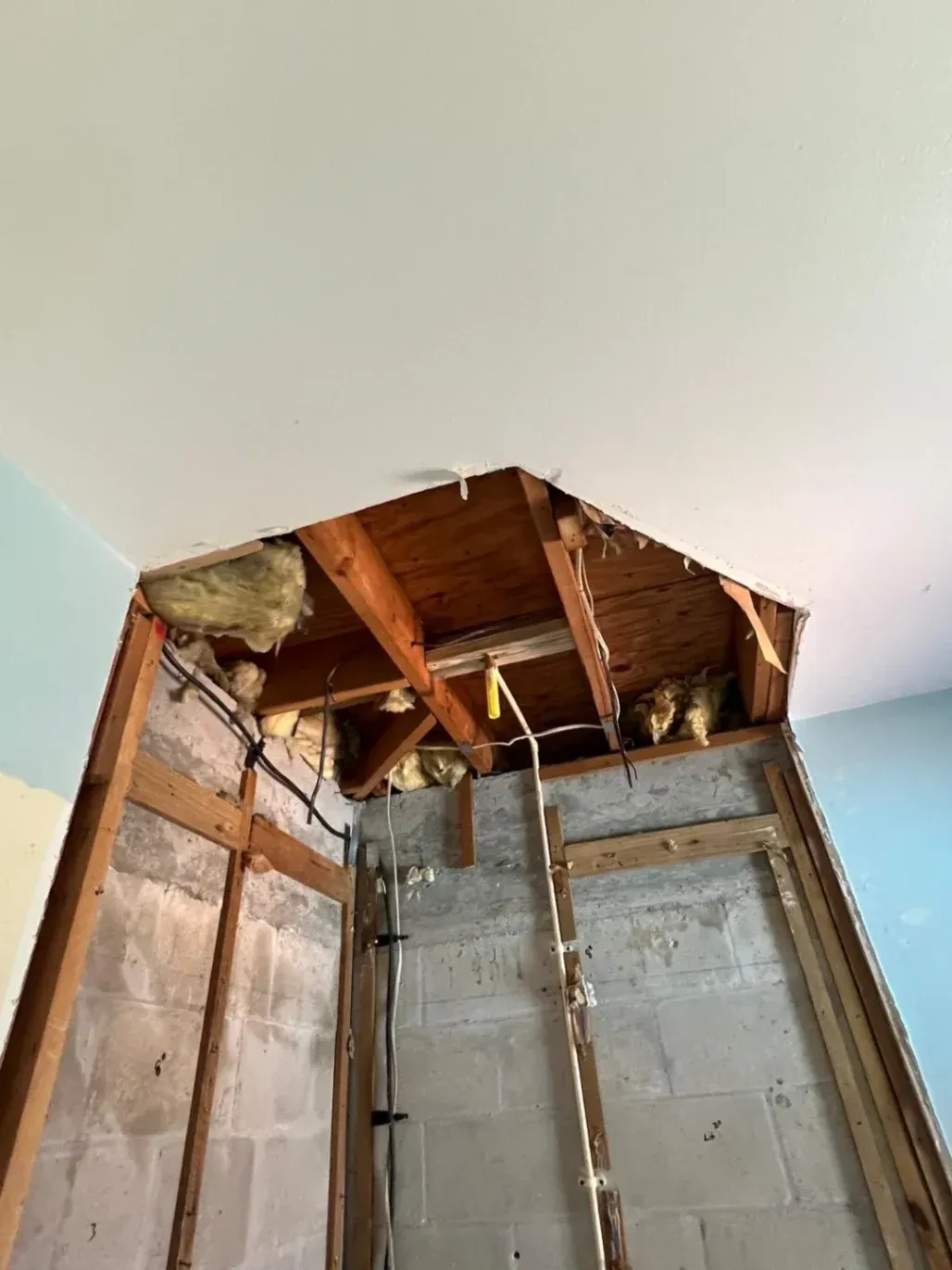 Gallery image 20