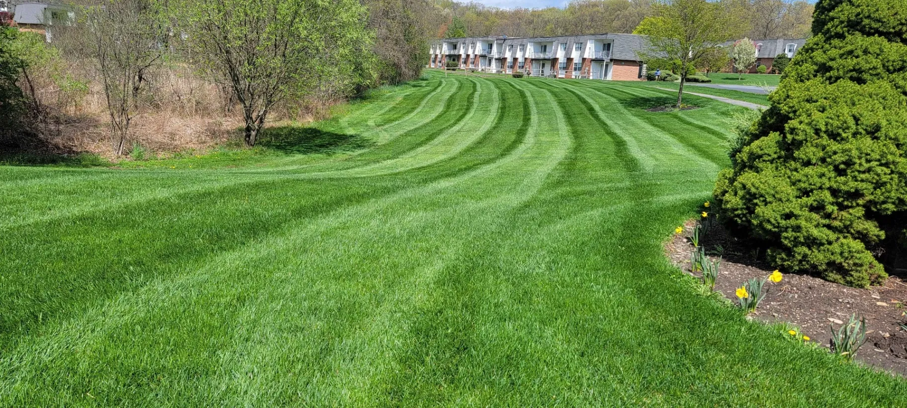 Galeas Landscaping Corp