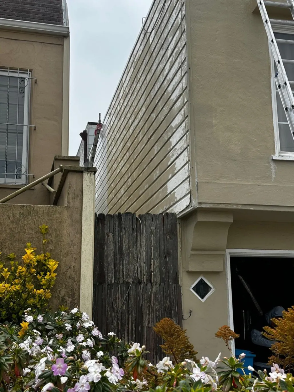 Proyecto 8