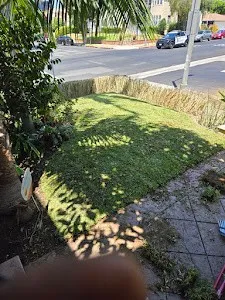 Toño Gardening