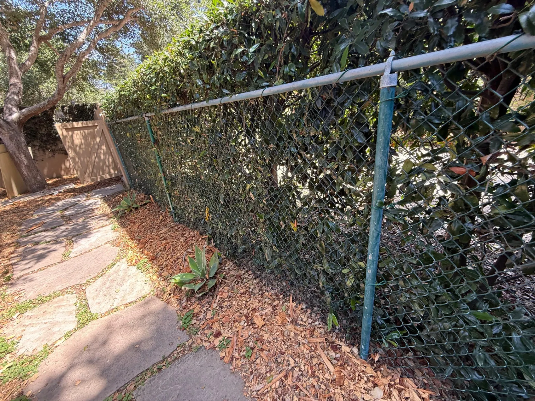 Gallery image 61