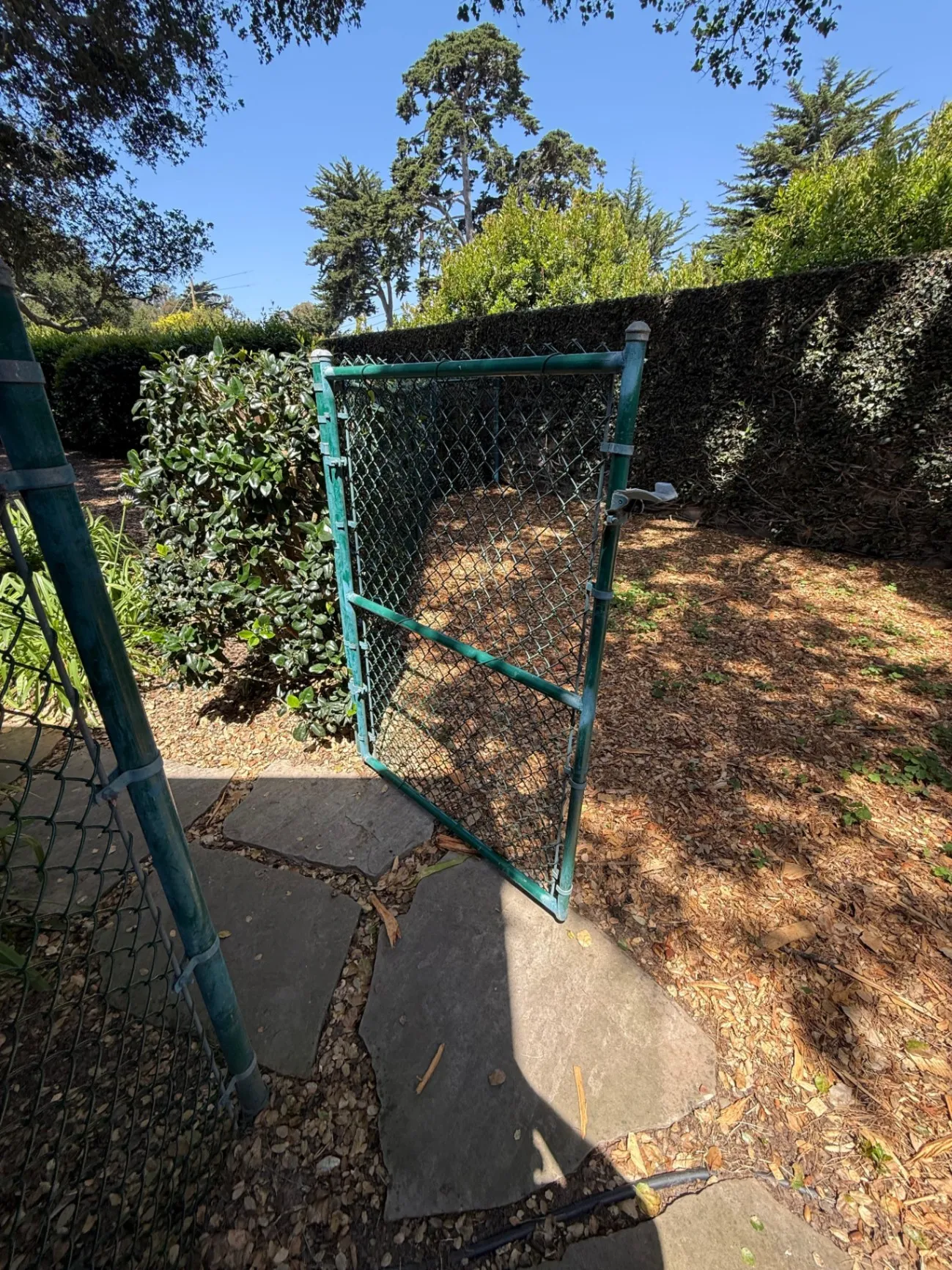 Gallery image 63