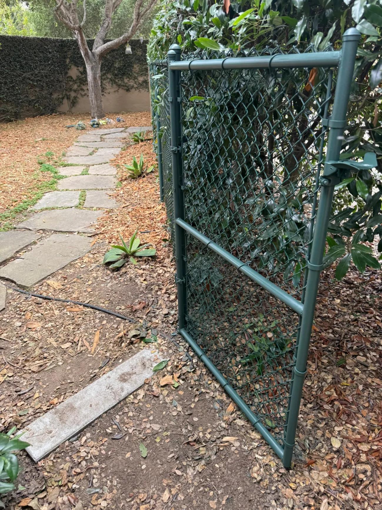 Gallery image 65