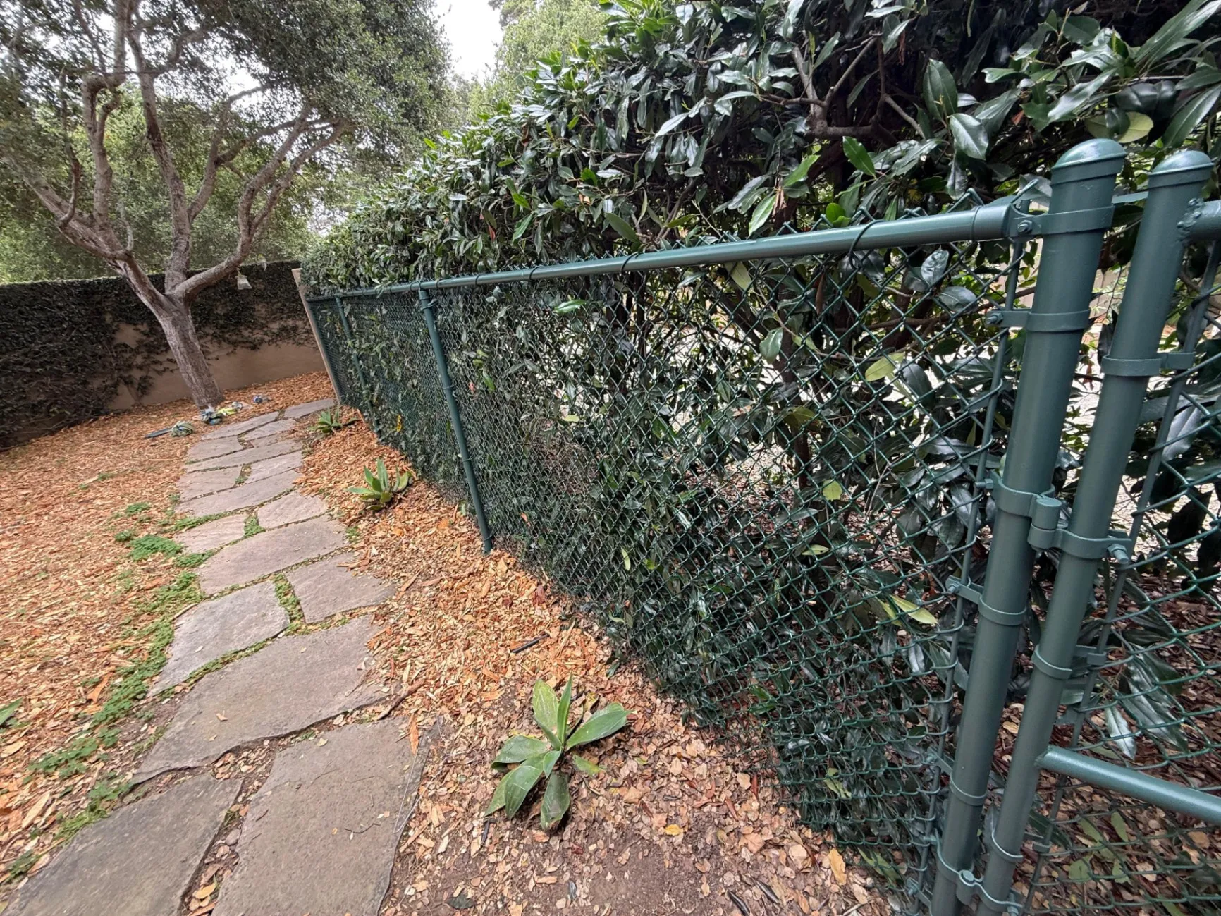 Gallery image 66