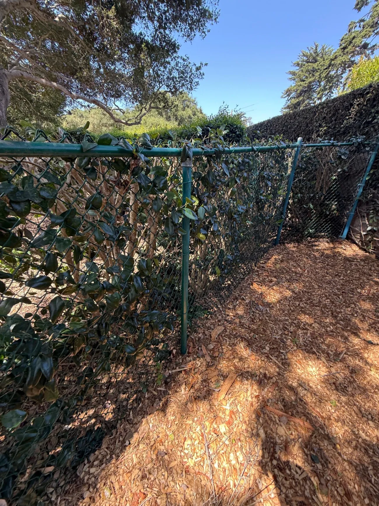 Gallery image 67