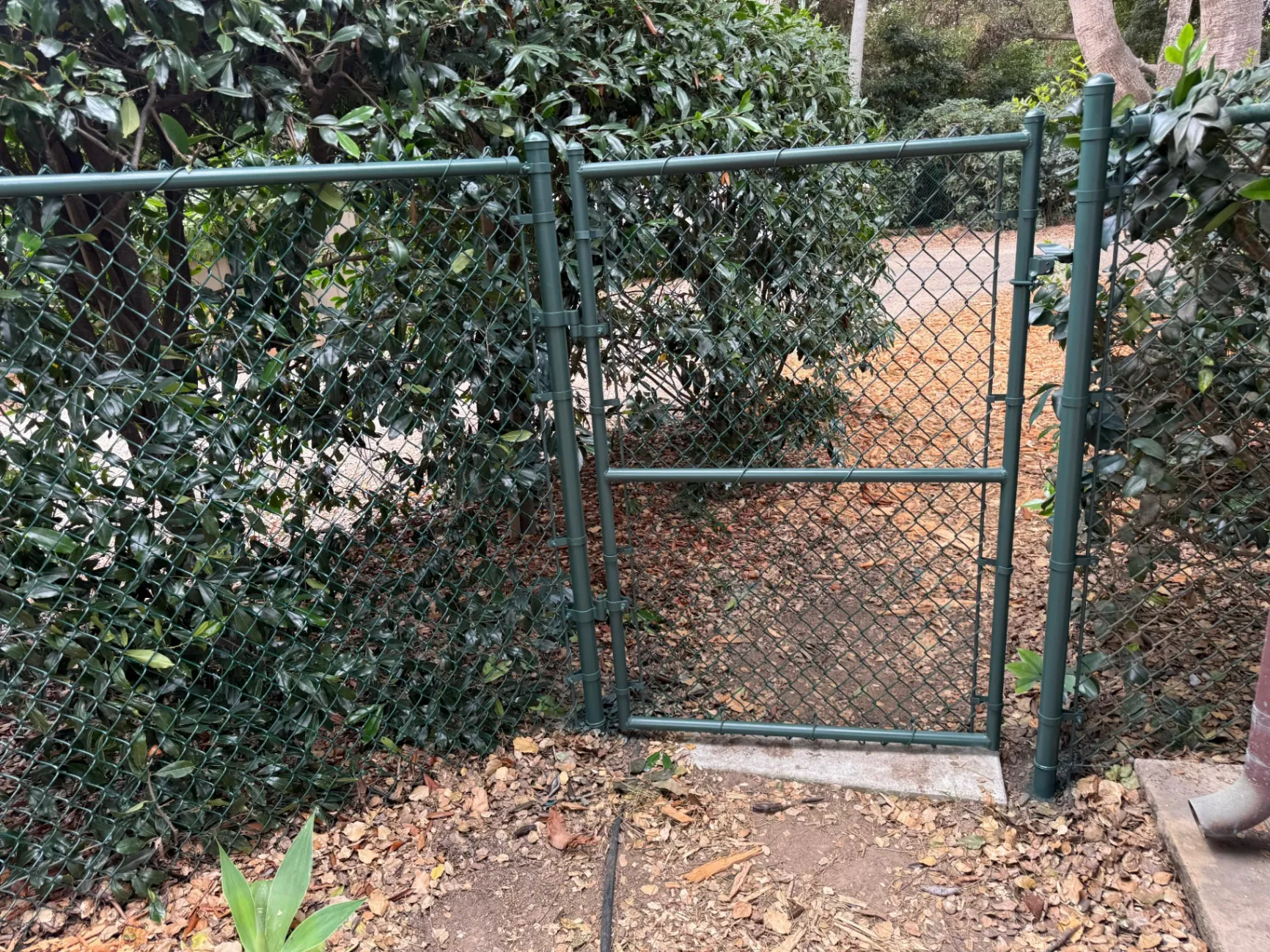 Gallery image 68