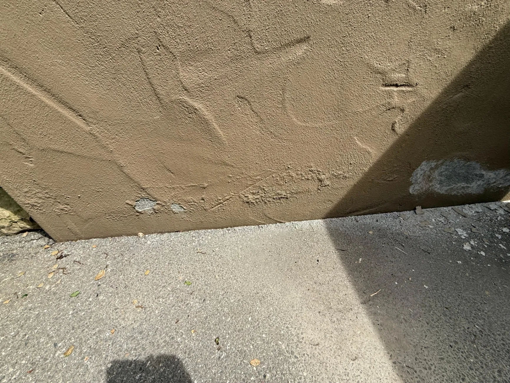 Gallery image 76