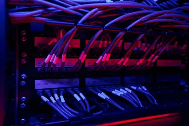 Services data wiring