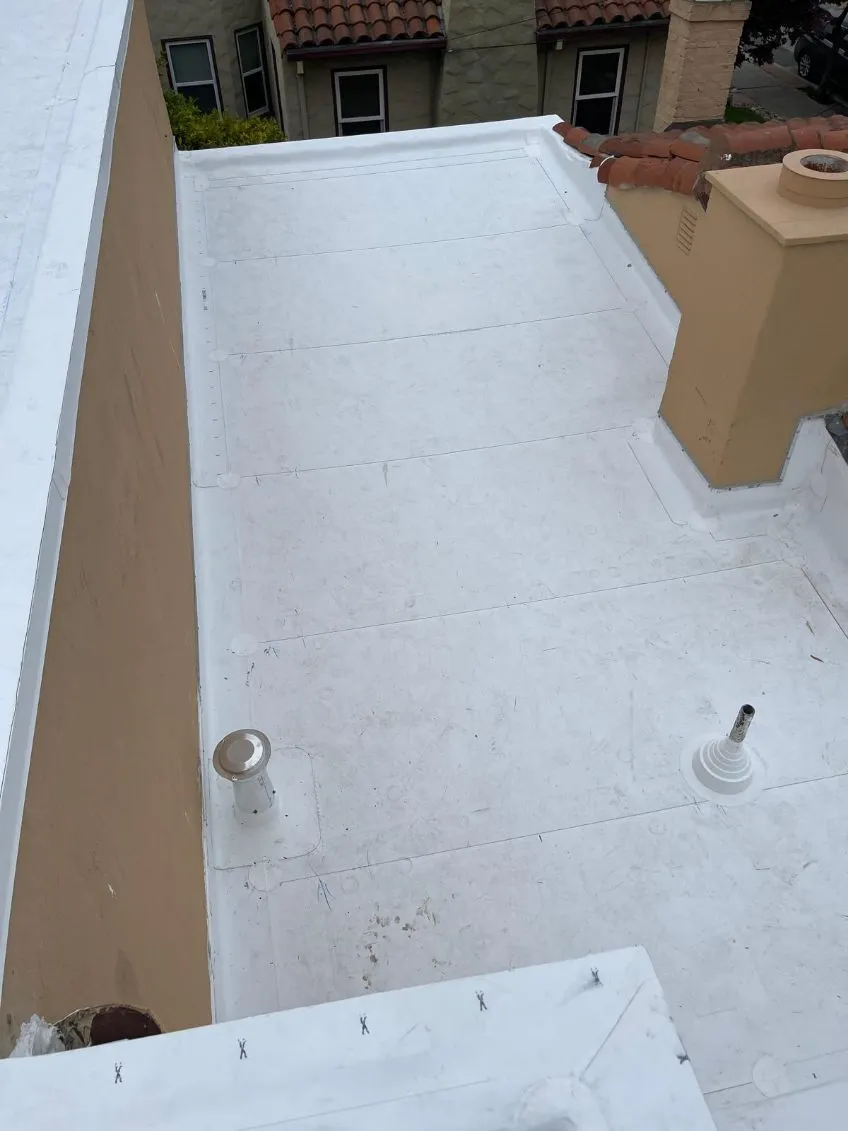 Gallery image 8