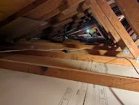 Gallery image 13
