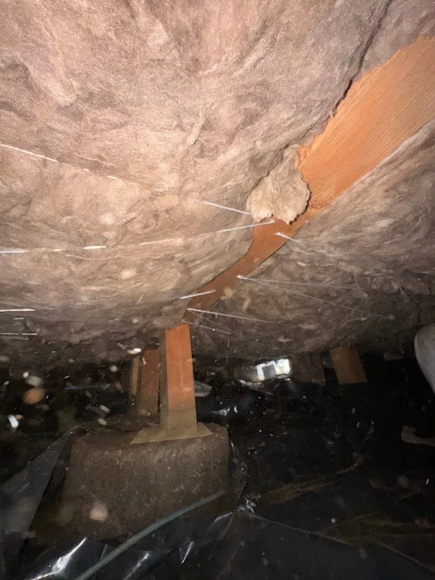 Gallery image 17