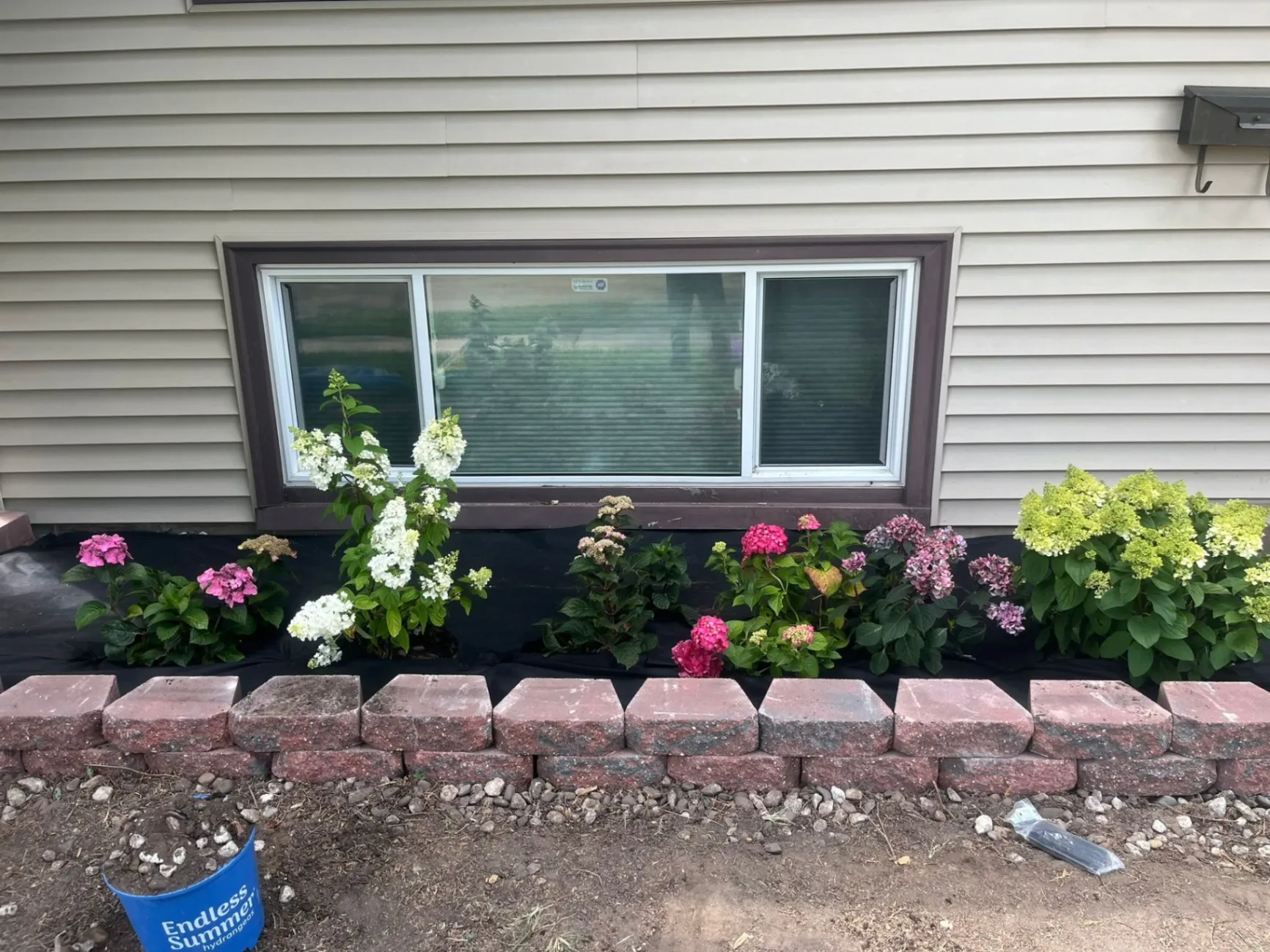 Gallery image 151