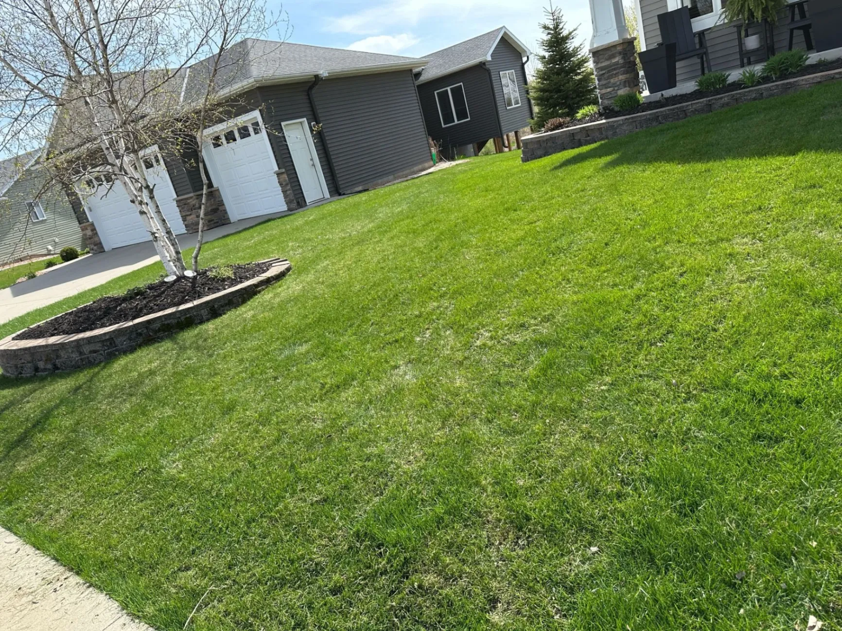 Gallery image 163