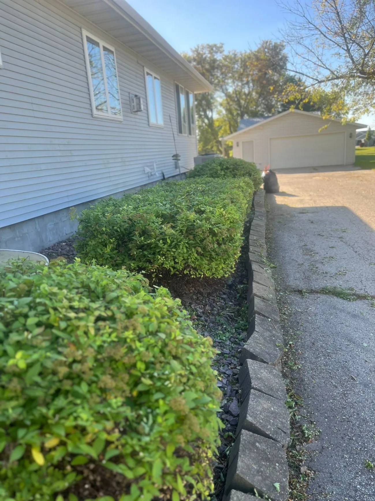 Gallery image 181