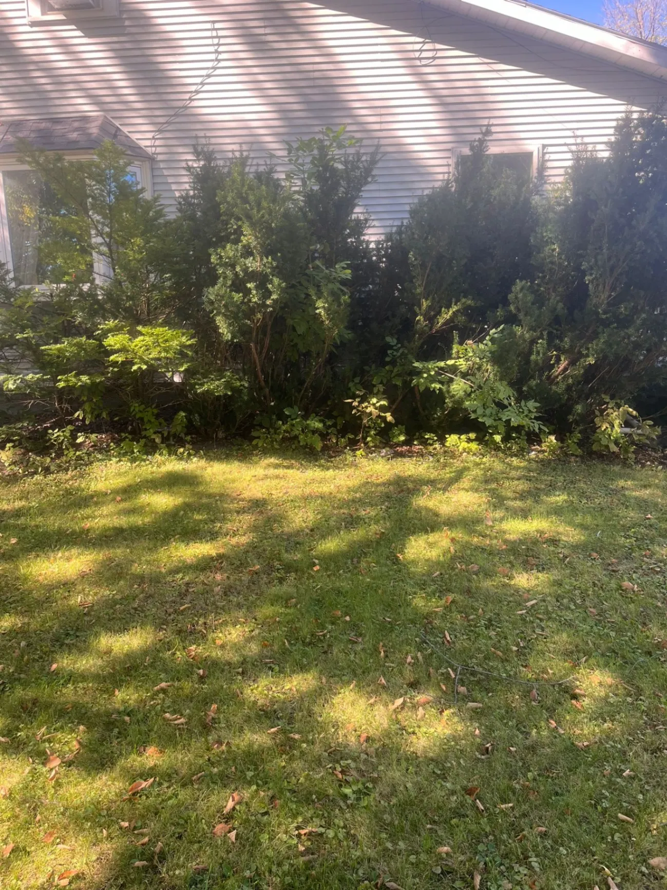 Gallery image 186
