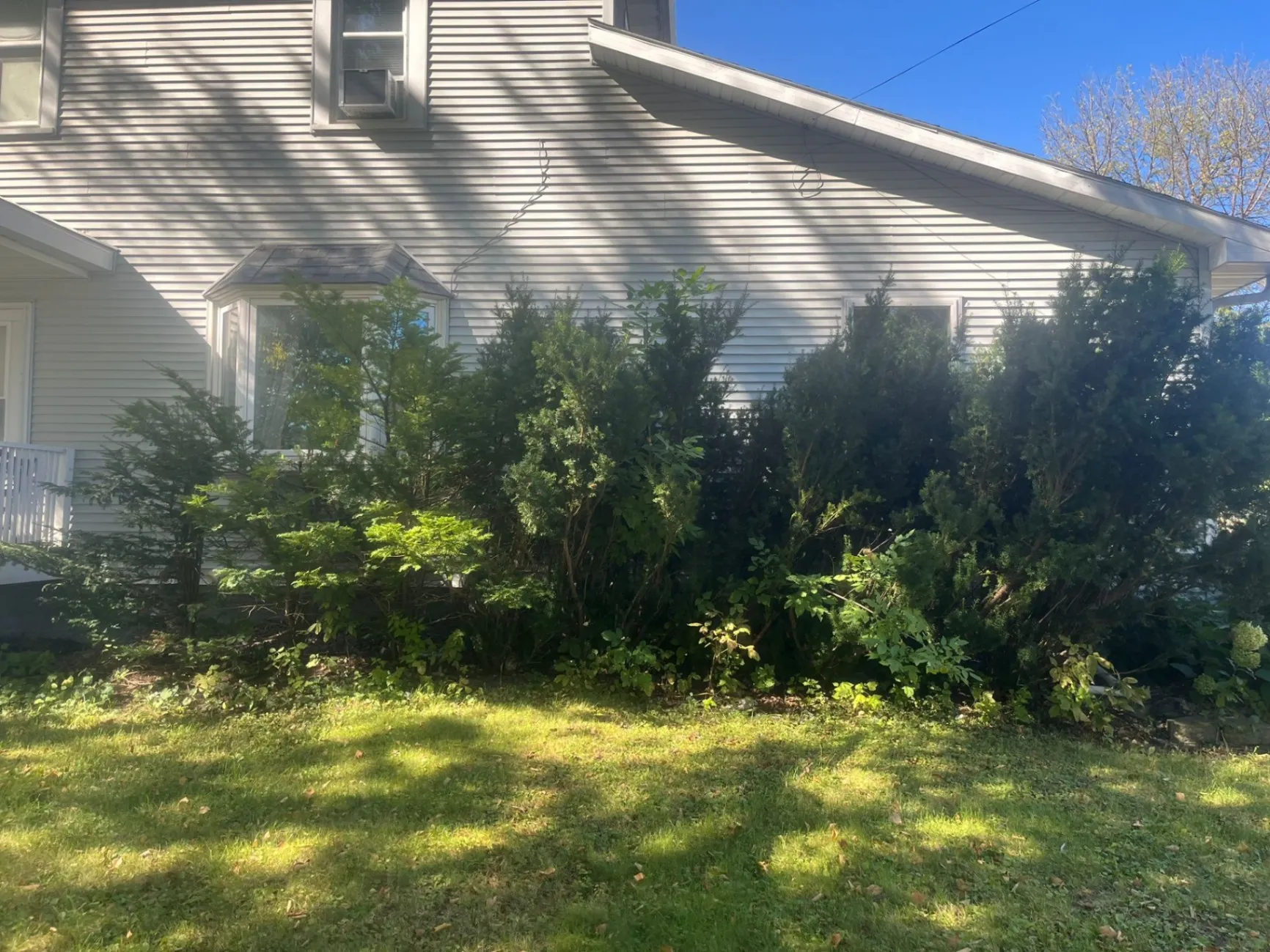 Gallery image 187