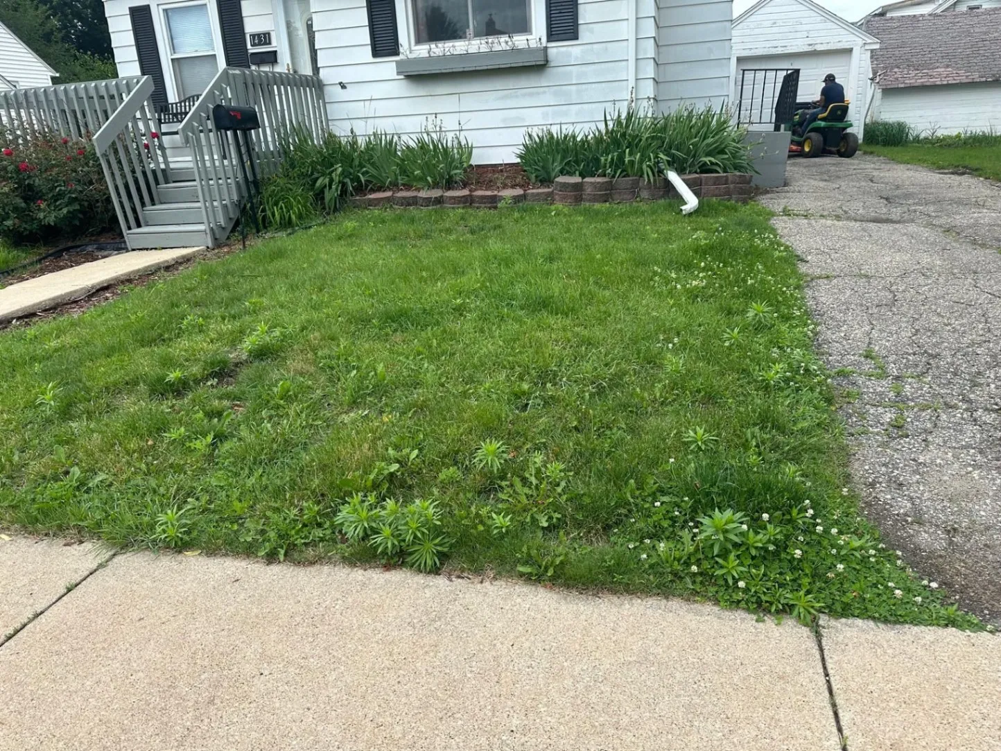 Gallery image 202