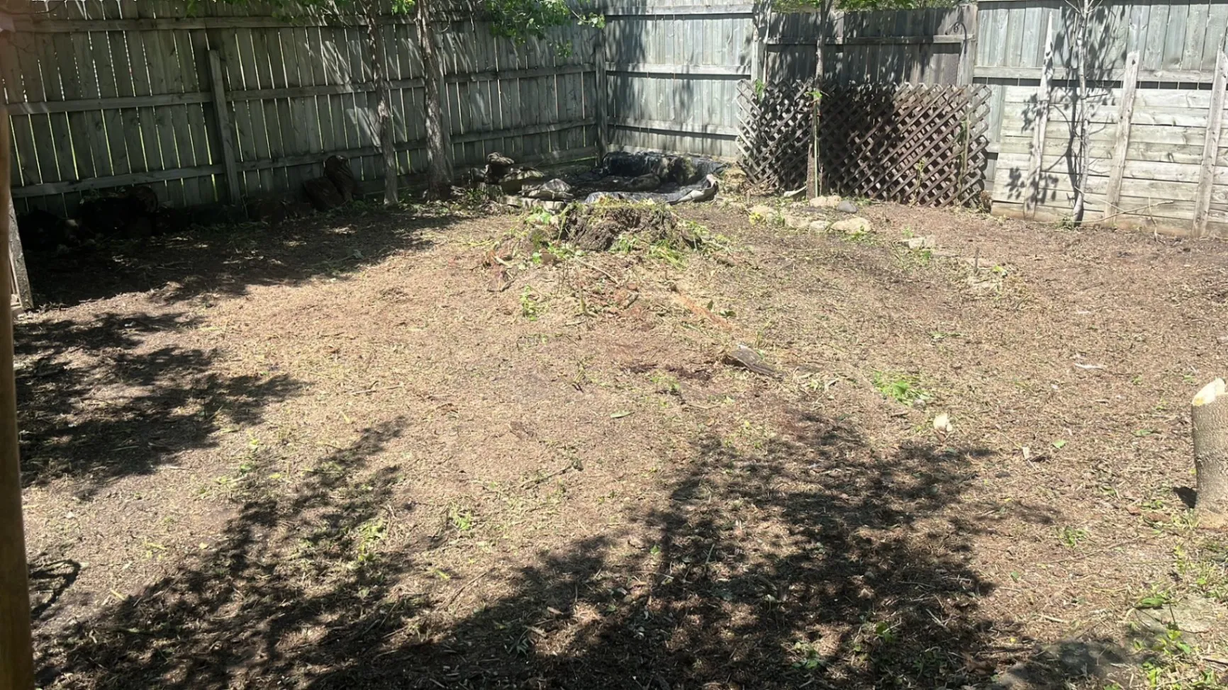 Gallery image 217