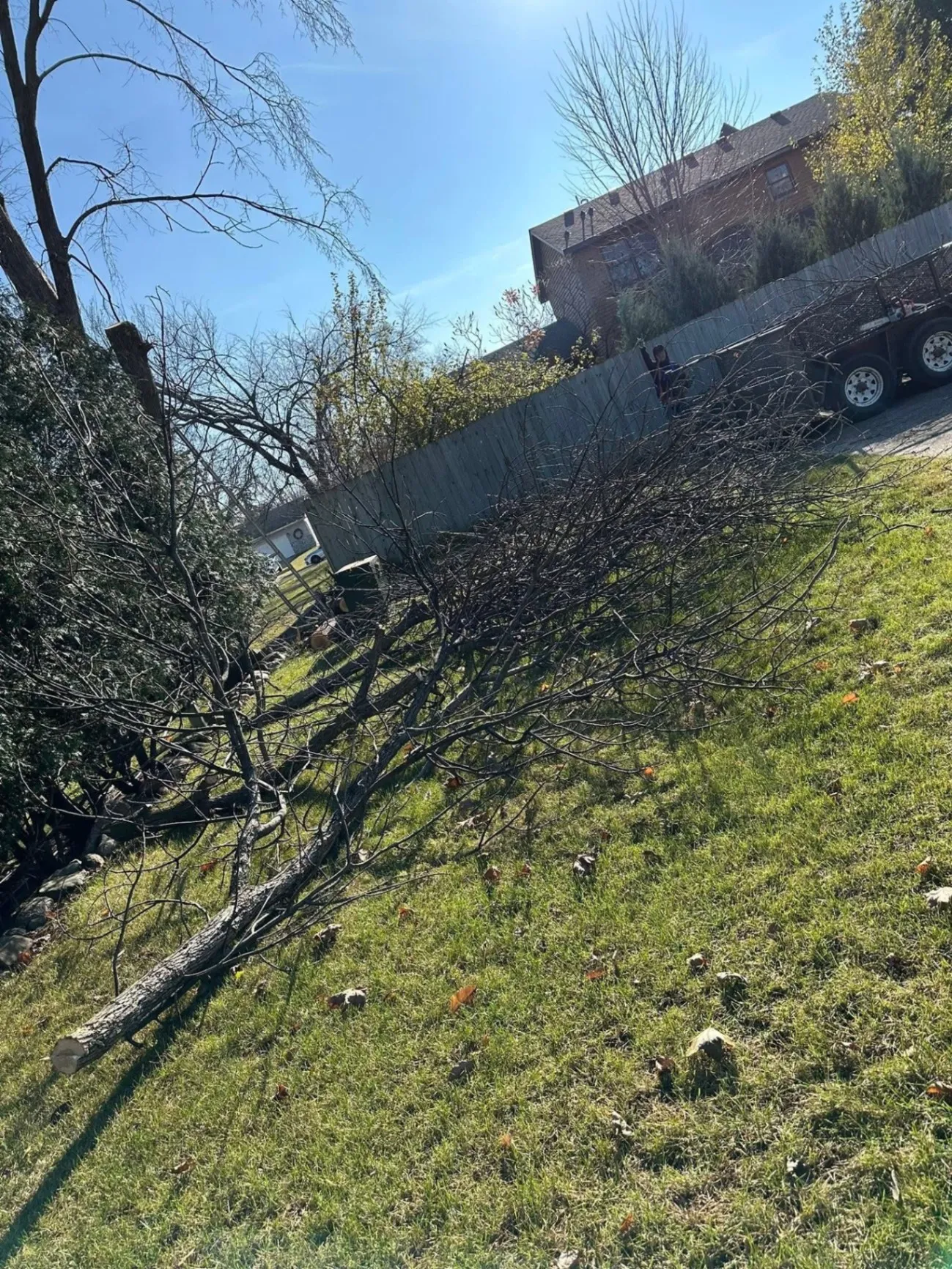 Gallery image 104