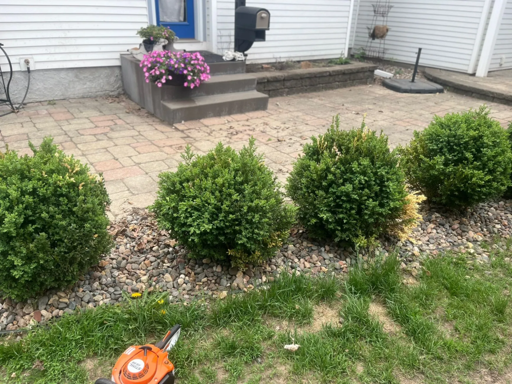 Gallery image 114